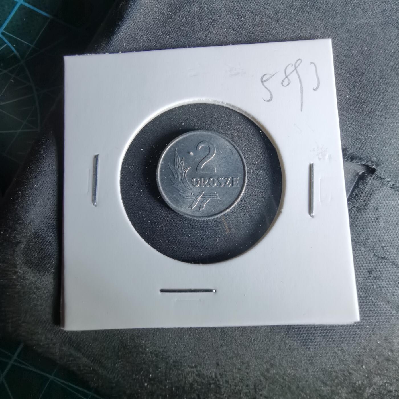 沼泽如烟--第958场