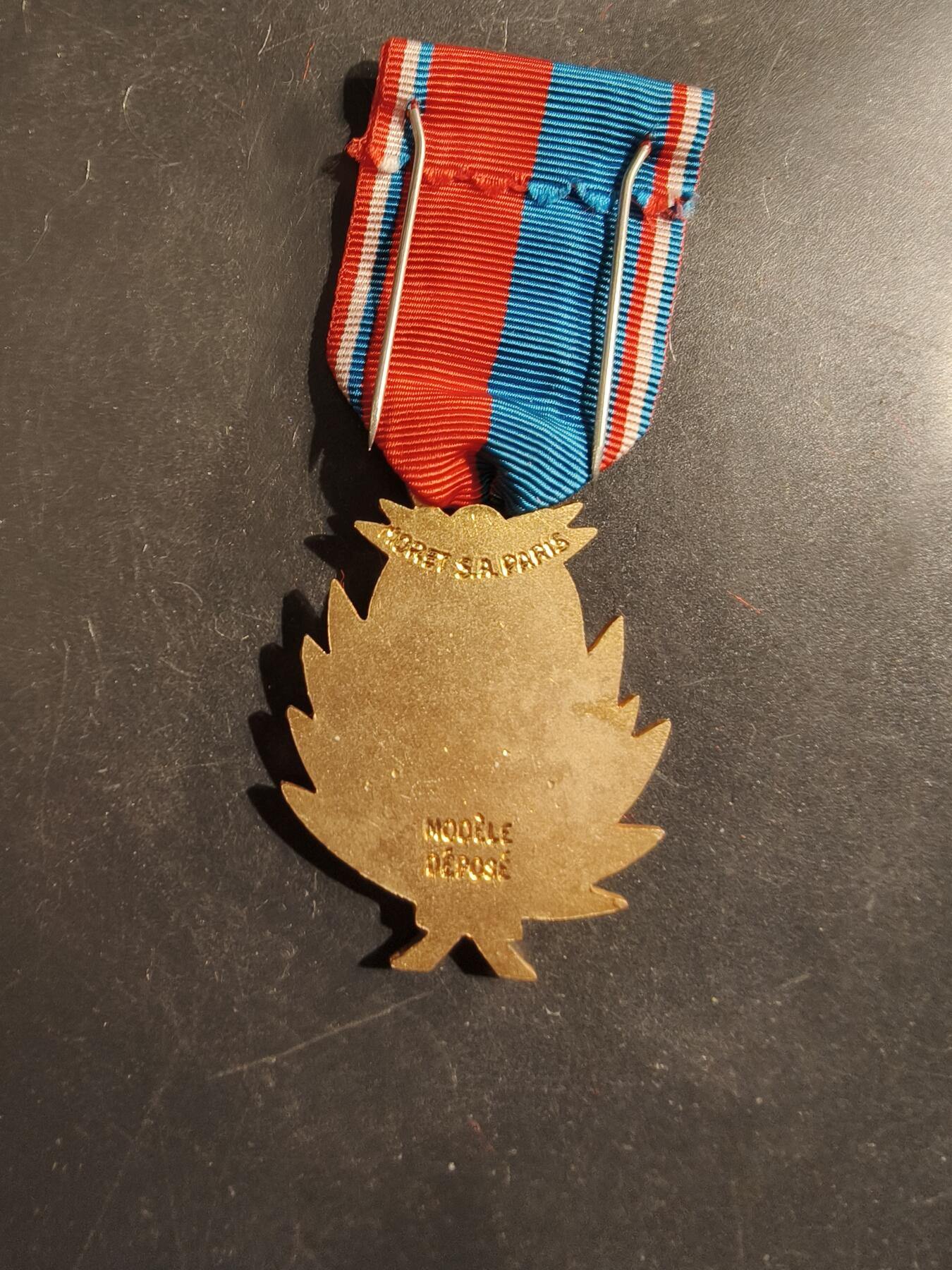 老王徽章第176期 法国金级音乐协会奖章     首席勋条