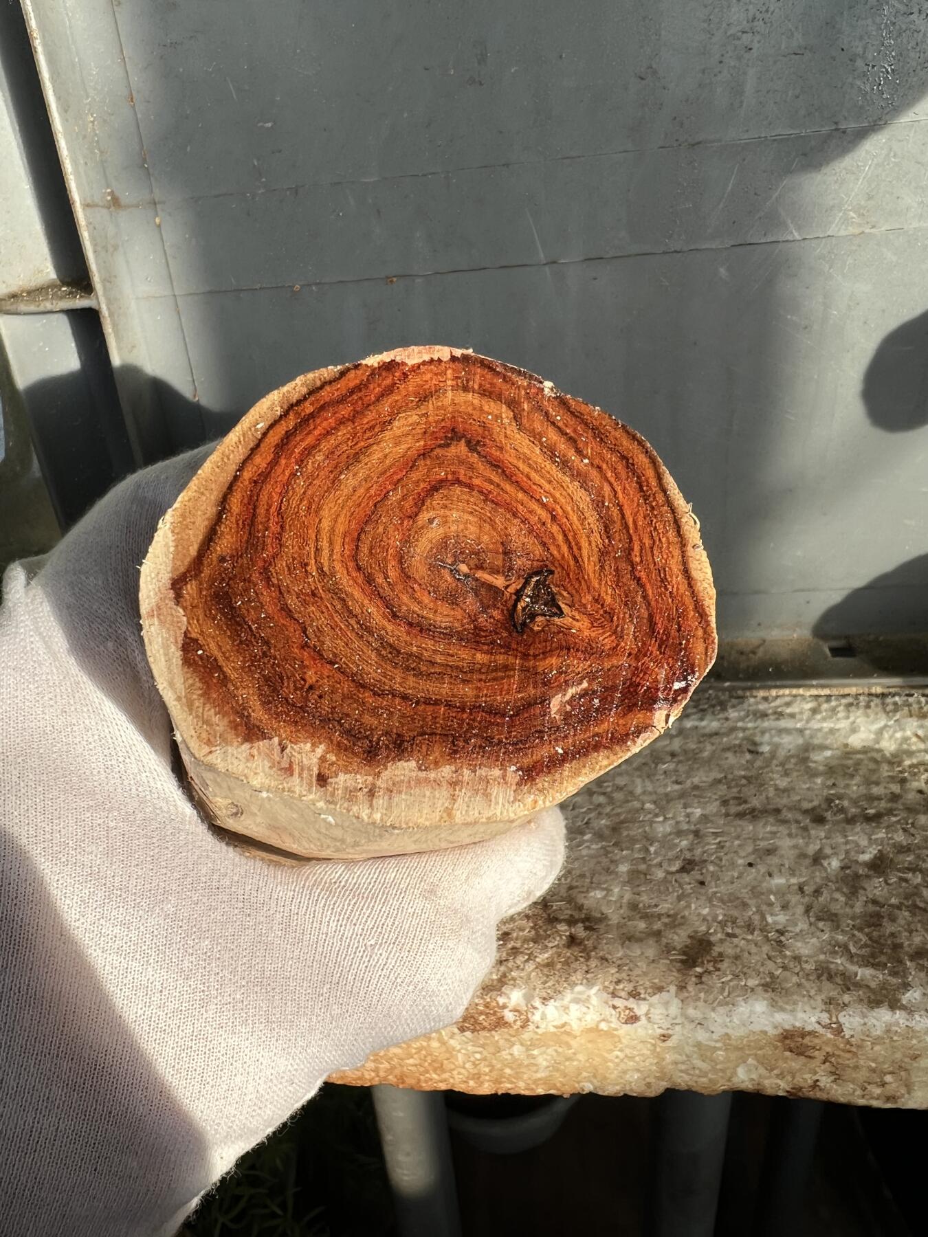 零元拍：  NO.110-3海南黄花梨原料。尺寸约110/55MM