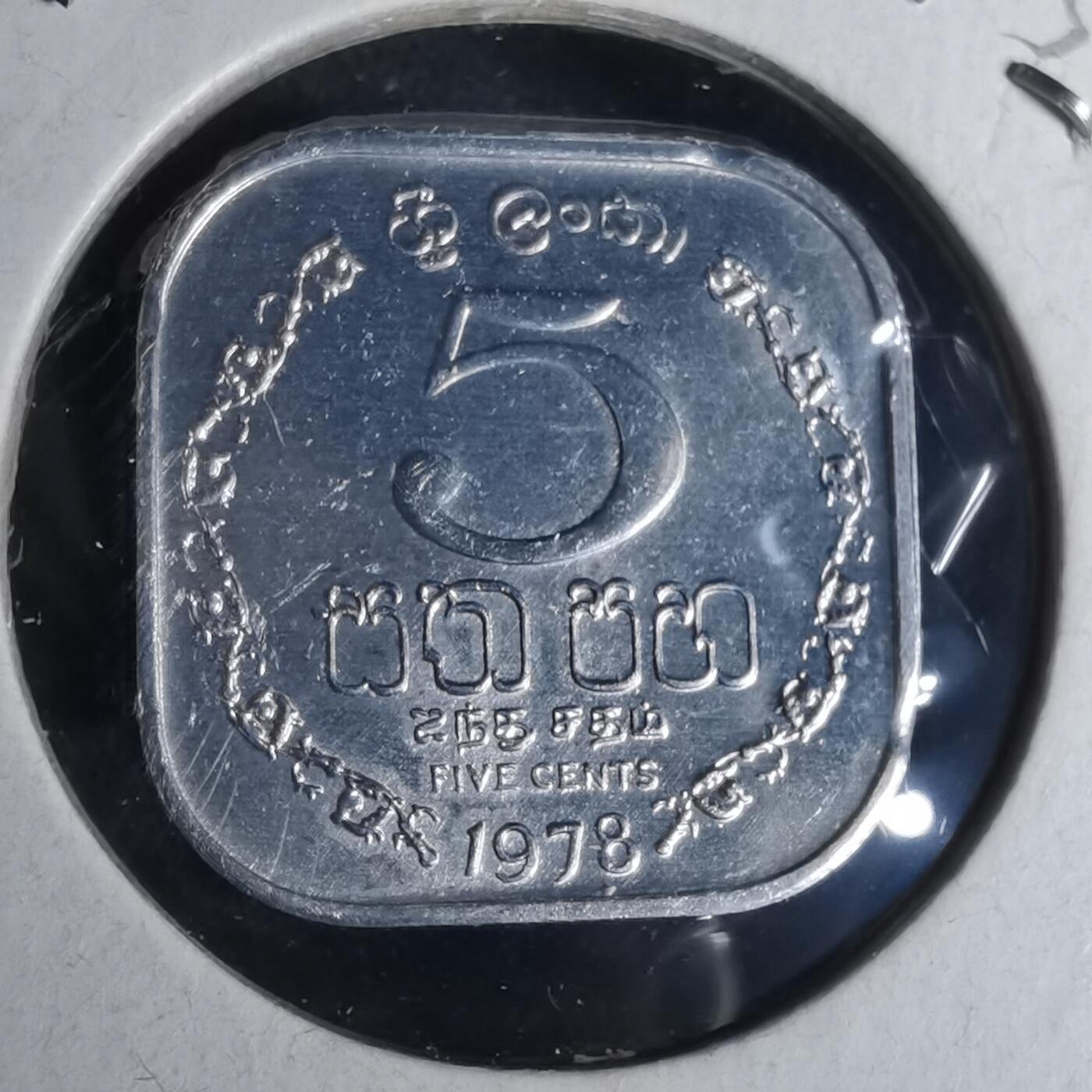 沼泽如烟--第958场