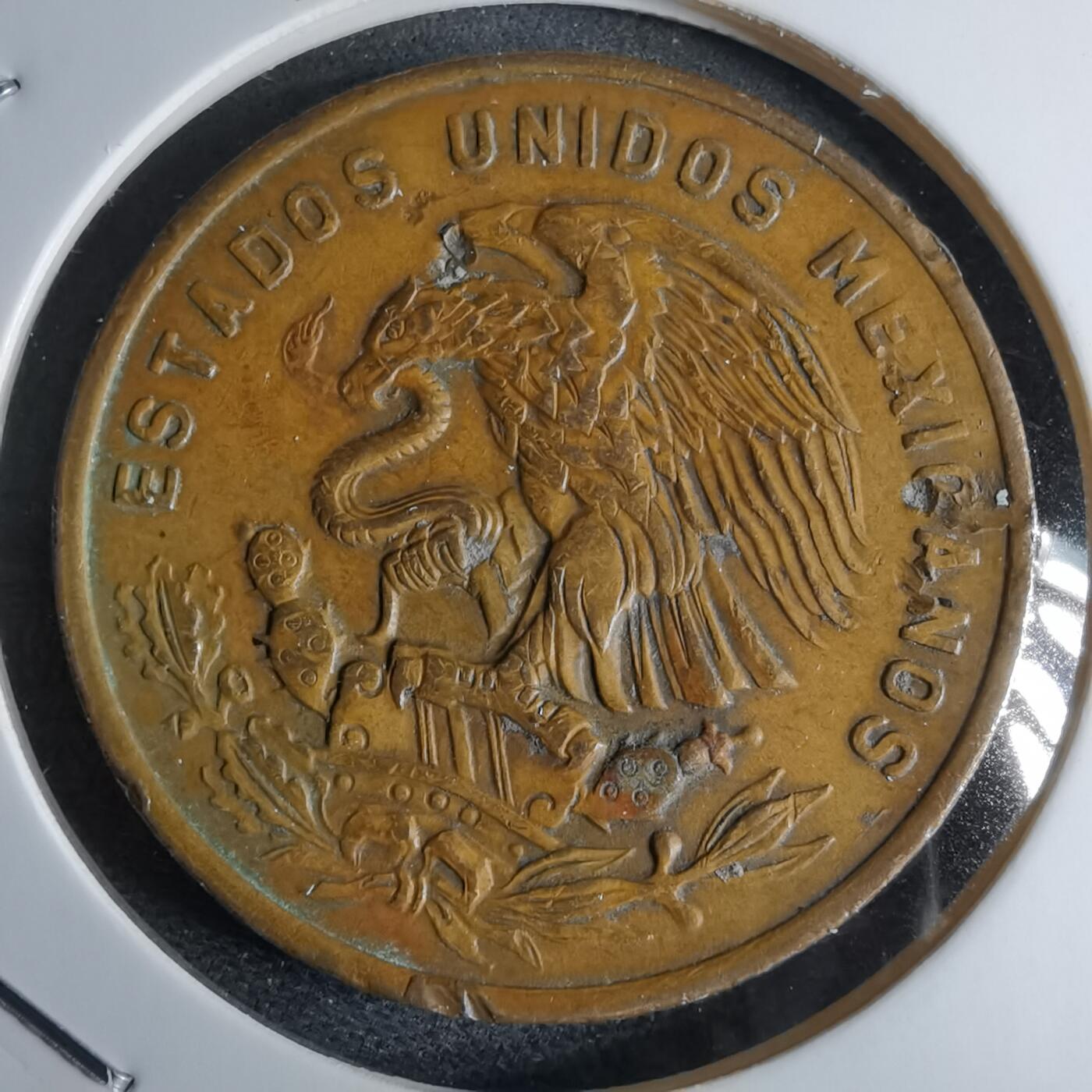 沼泽如烟--第959场 本期开始不支持出价小数点，感谢理解