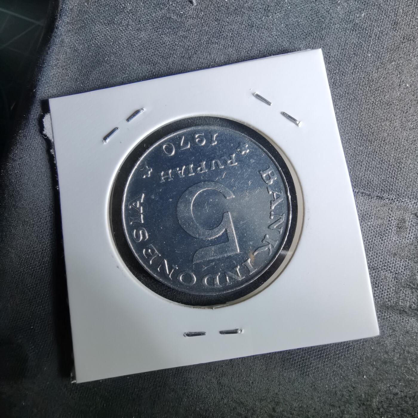 沼泽如烟--第958场