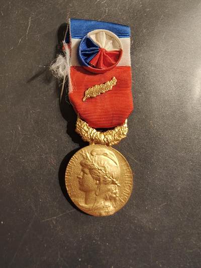 老王徽章第176期 - 法国金级劳动荣誉奖章   实发版   金棕榈勋饰