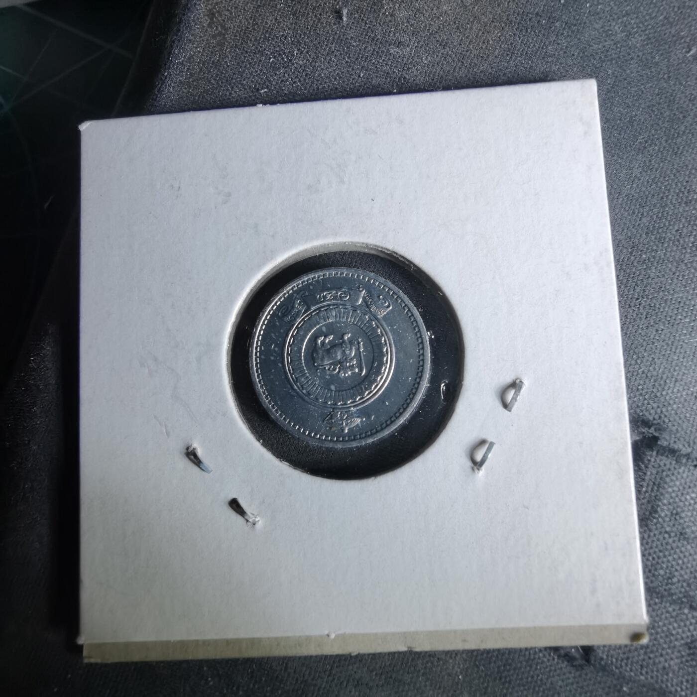 沼泽如烟--第958场