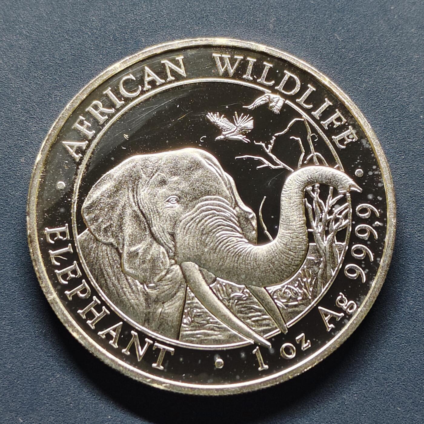 【全场包邮】纯粹捡漏拍495场-持续更新中 索马里2018年10先令大象1盎司9999纯银【35.2毫米31.1克，纯银价约622元（按20元银价折算）】