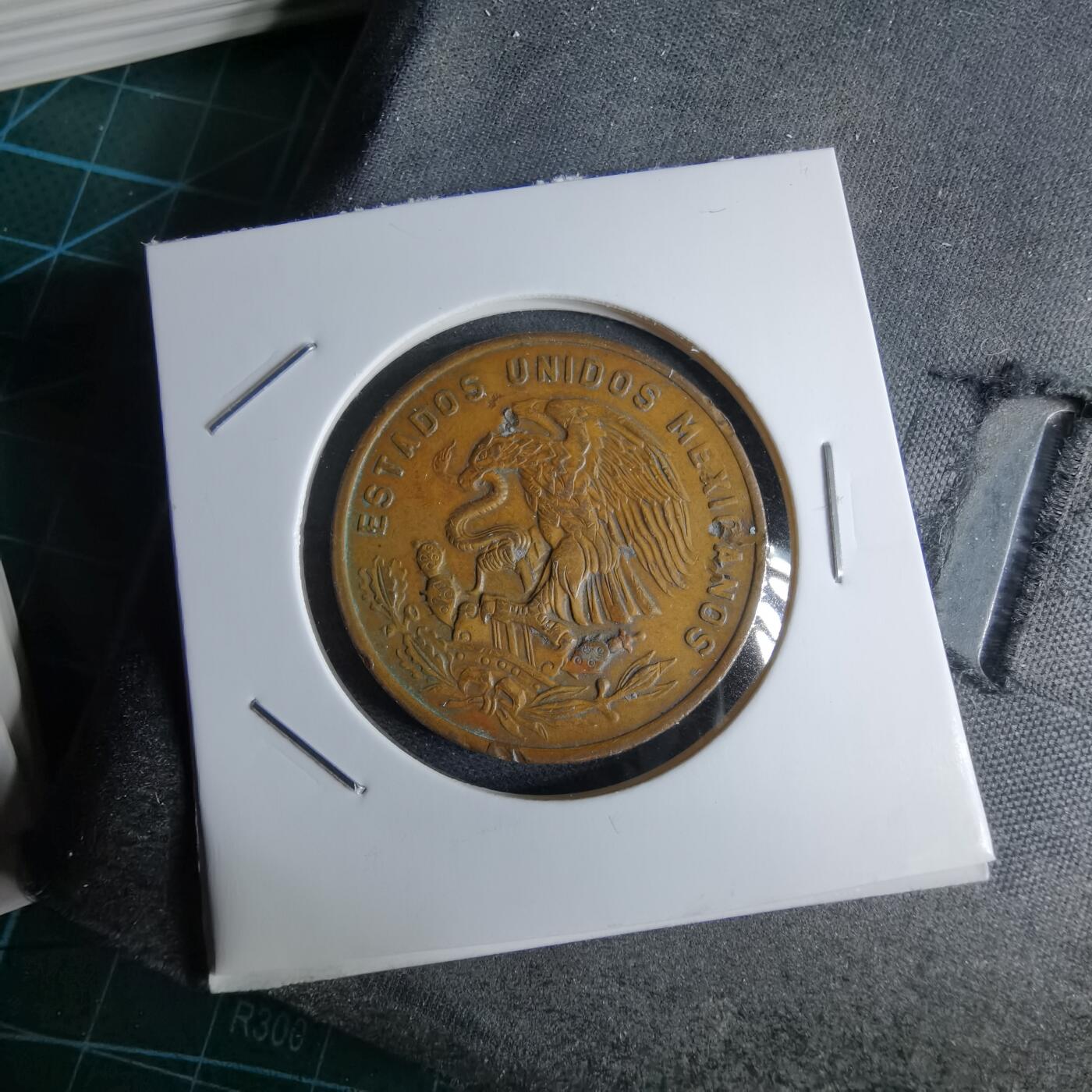 沼泽如烟--第959场 本期开始不支持出价小数点，感谢理解