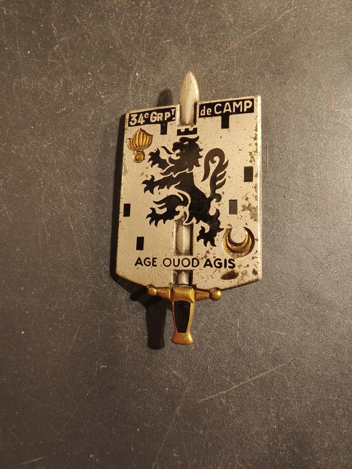 老王徽章第176期 法国第34营地连证章