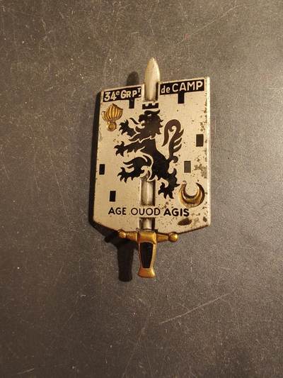 老王徽章第176期 - 法国第34营地连证章