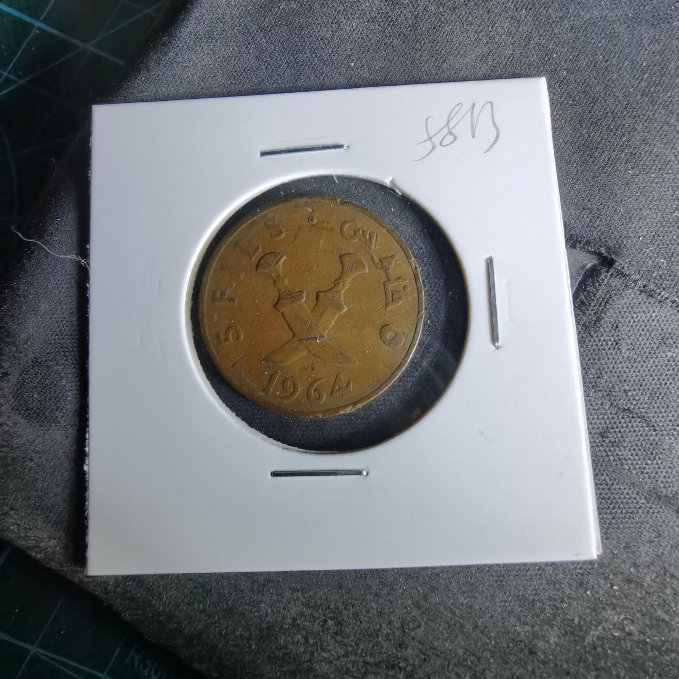 沼泽如烟--第958场