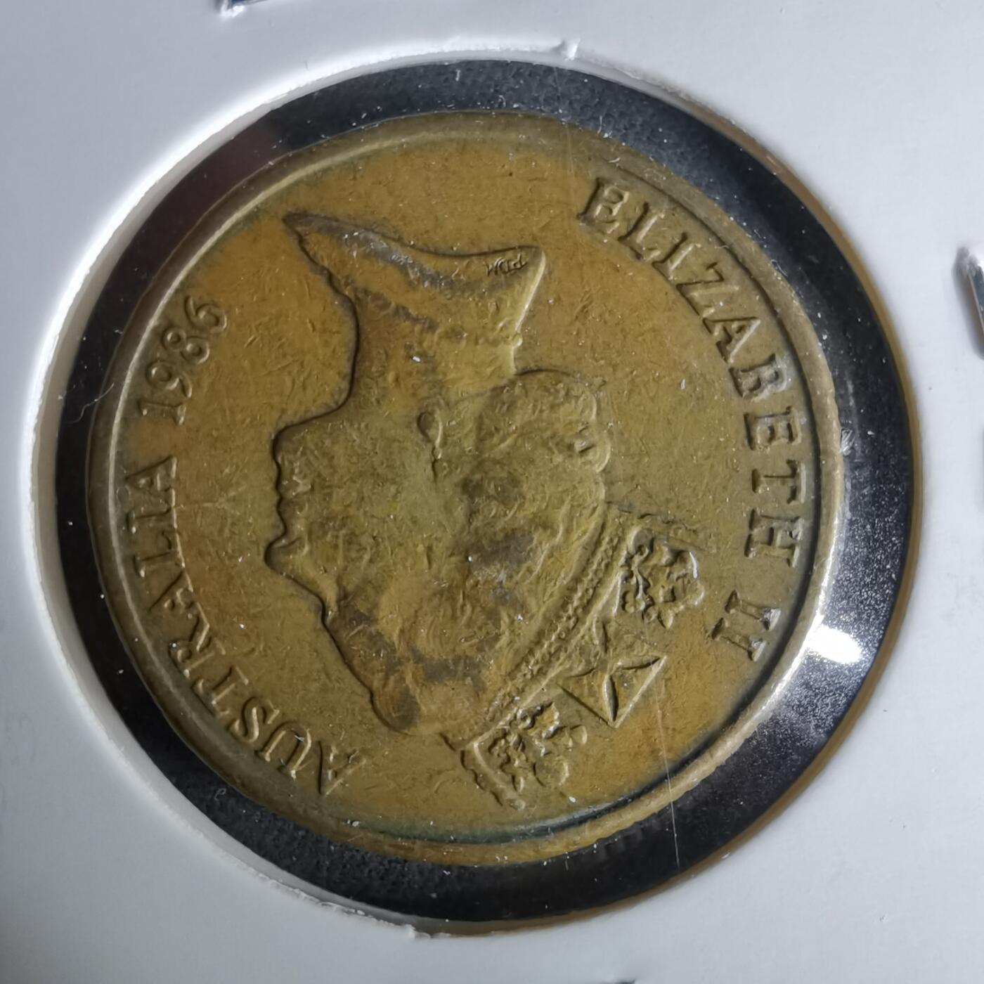 沼泽如烟--第958场