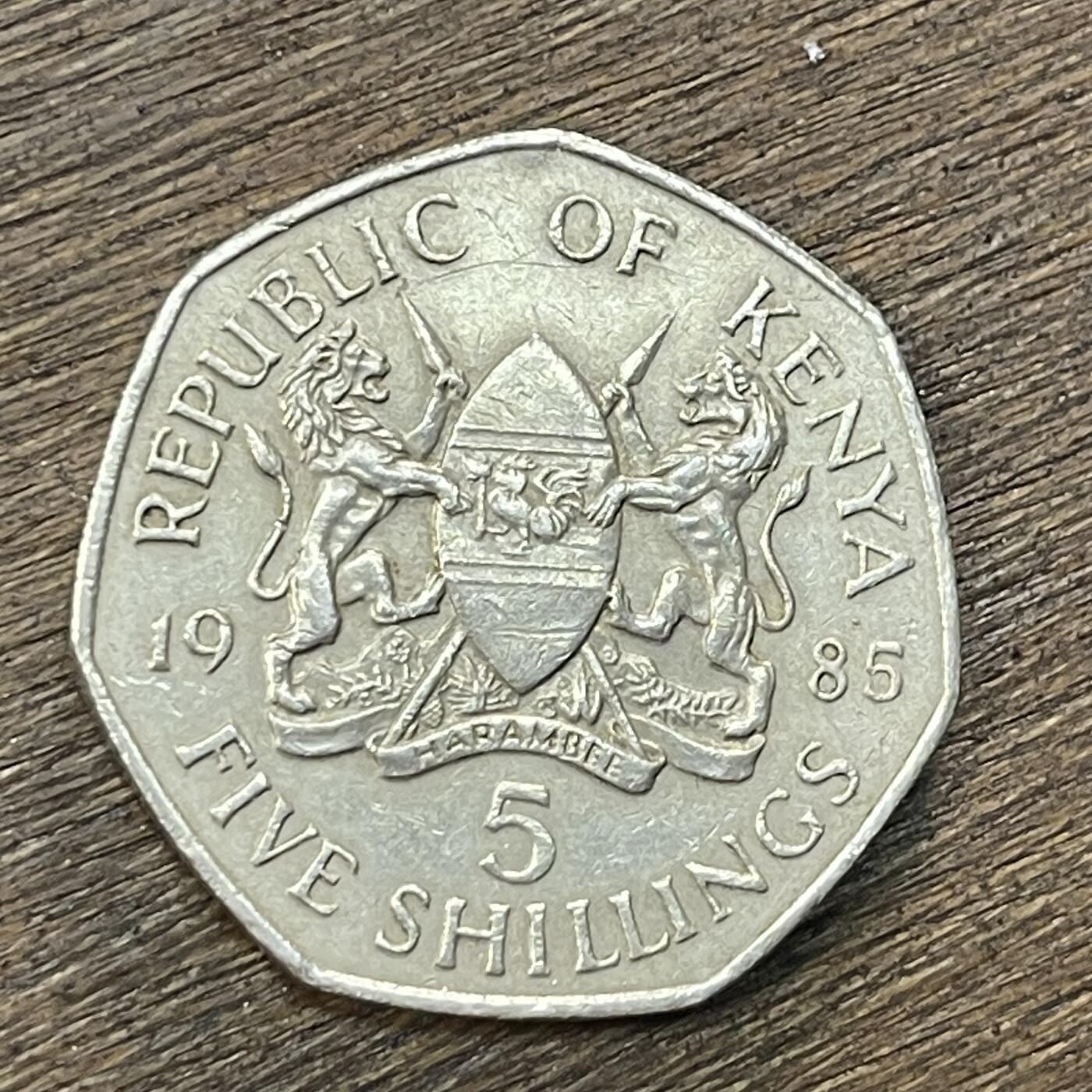 【铜匠收藏】★第138场★散币场。不寄存，30包邮。不满30元，支付5元运费。《接受代拍 代送NGC评级》 47【无寄存】肯尼亚硬币1985年5先令铜镍硬币
