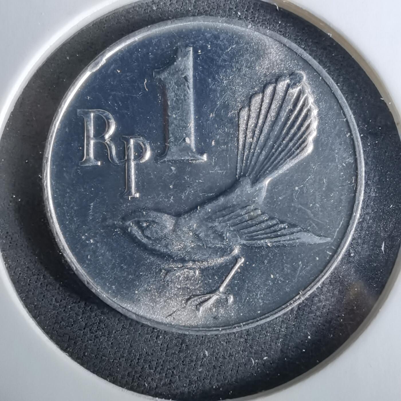 沼泽如烟--第958场