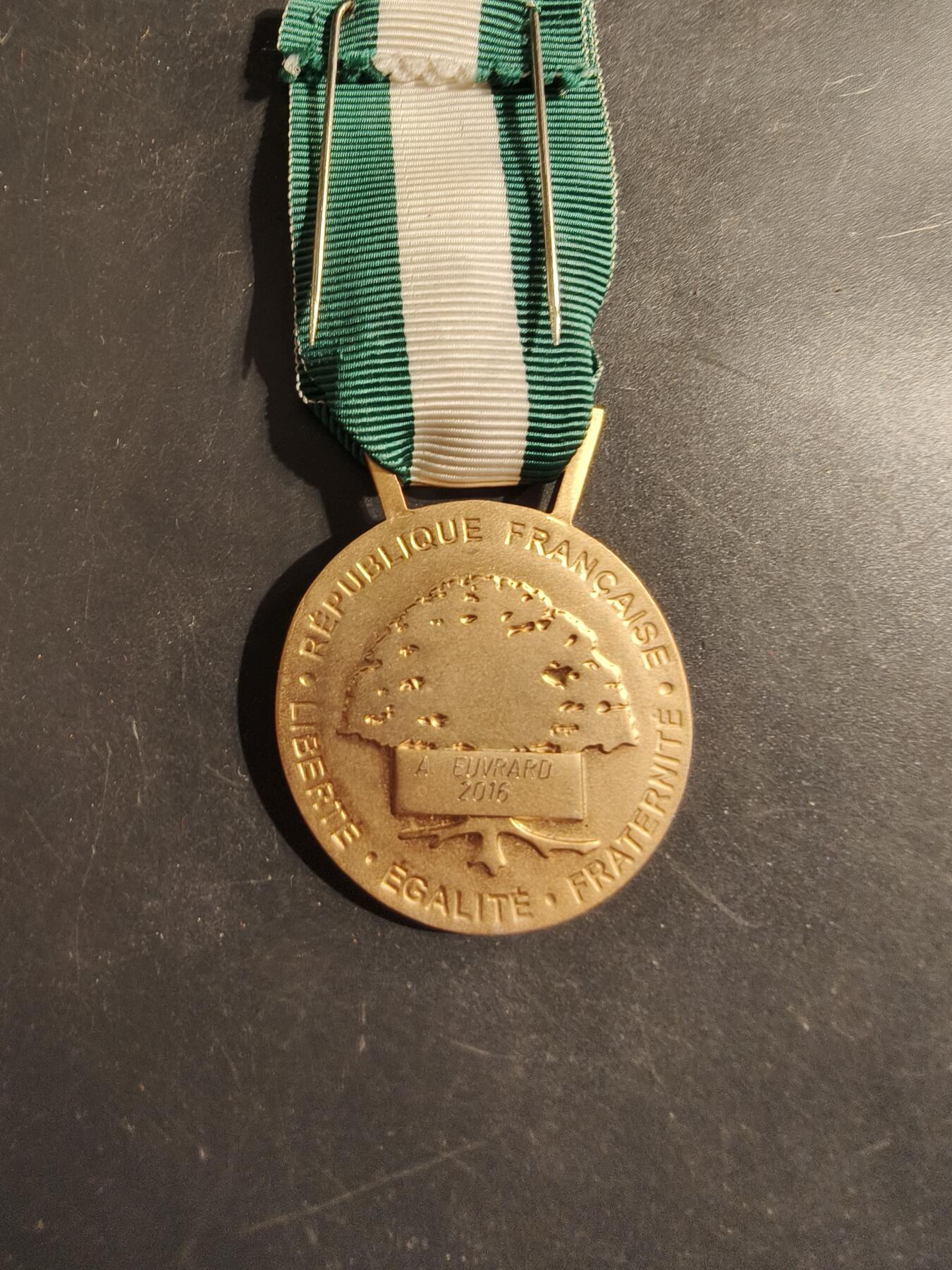 老王徽章第176期 法国金级军官级地方嘉奖奖章   2016年实发