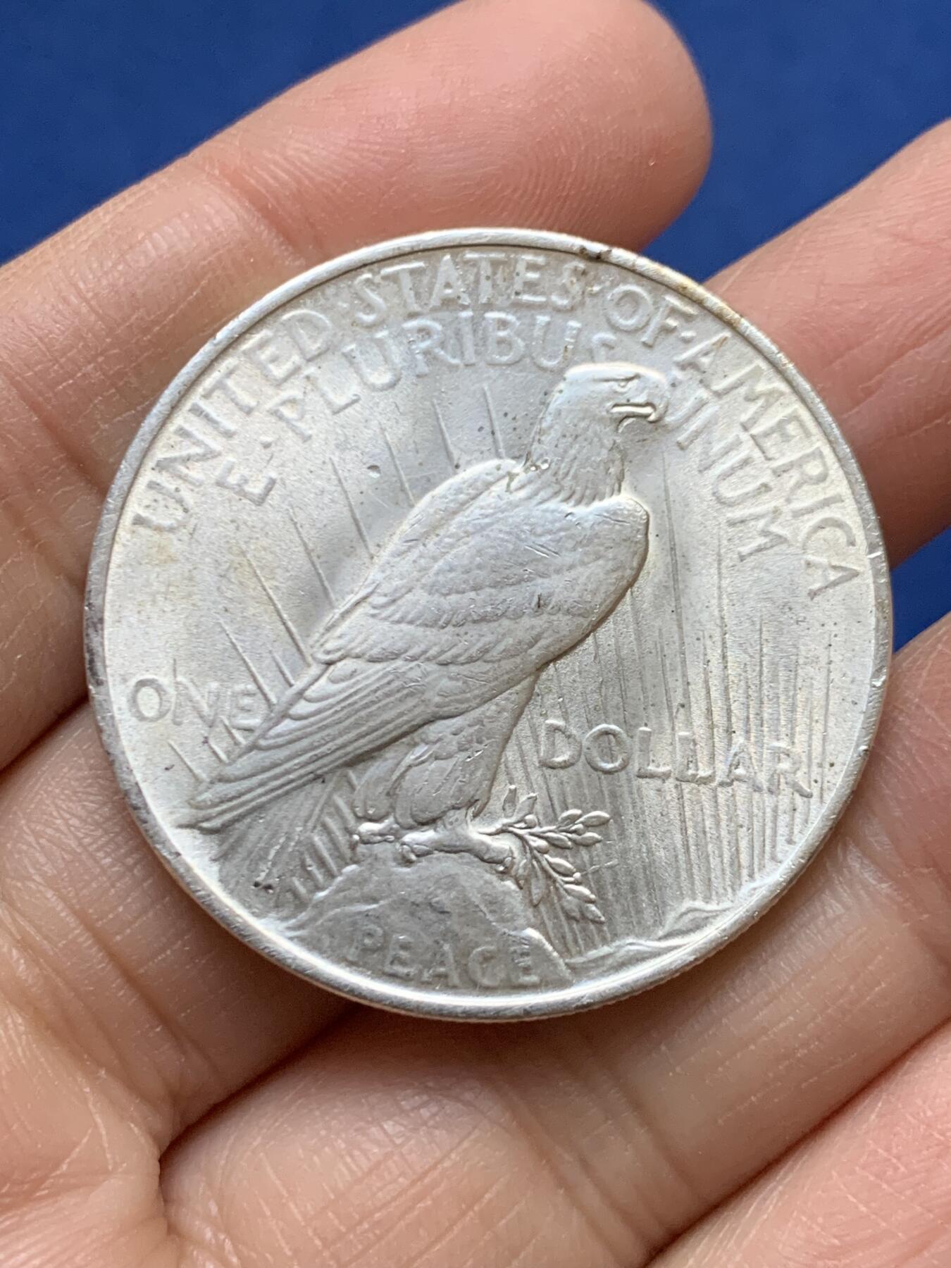 《竞宝斋》第456场 周日，周一，周二   3场连拍 （全场包邮）欢迎送拍 美国1922年和平1美元大银币