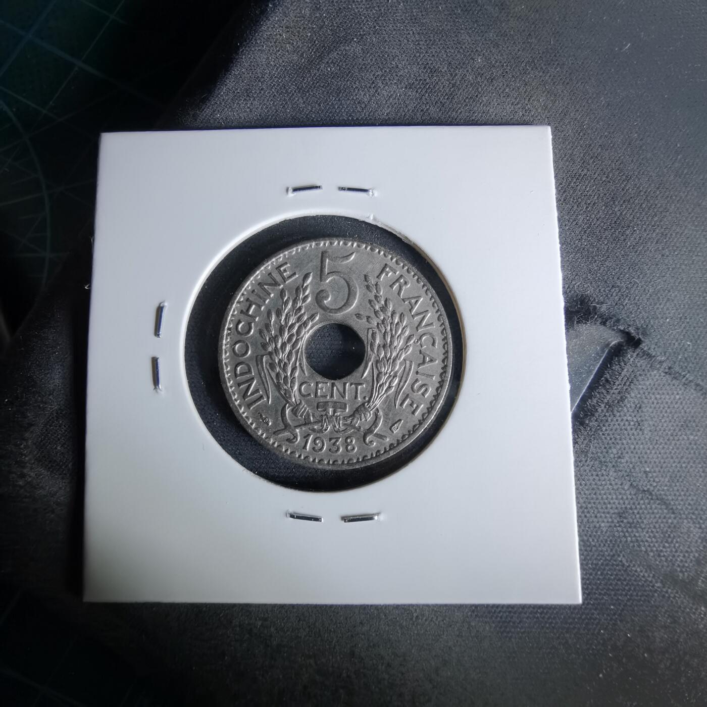 沼泽如烟--第958场