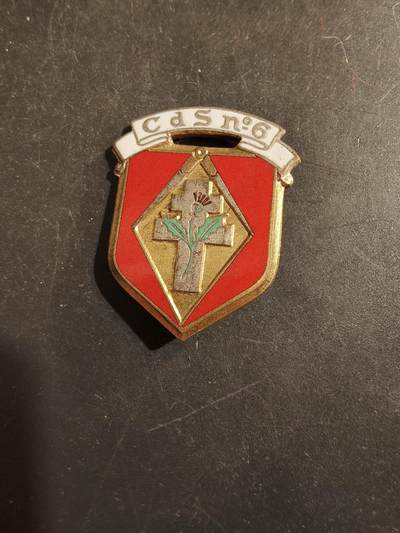 老王徽章第176期 - 法国陆军第6选拔中心证章