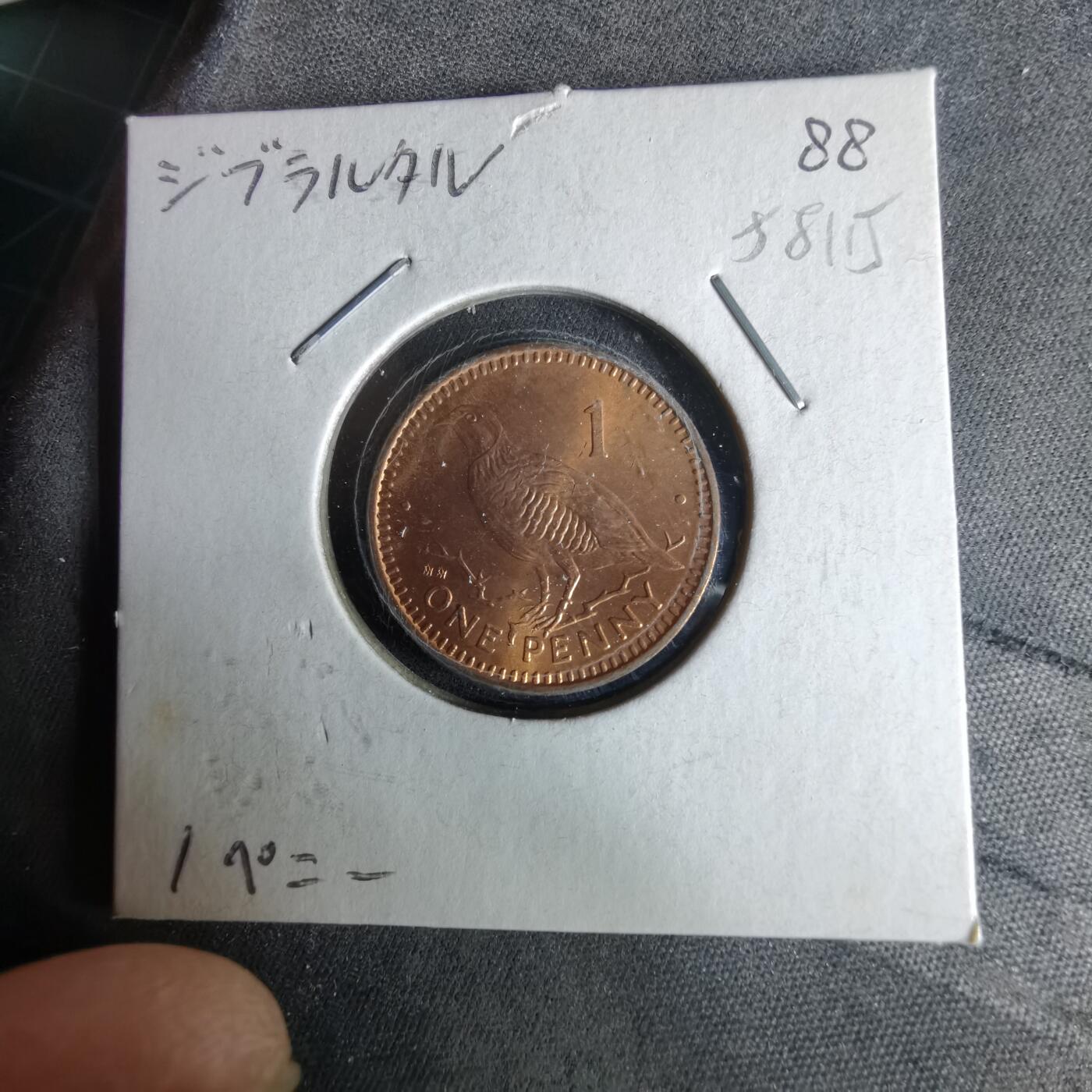 沼泽如烟--第958场