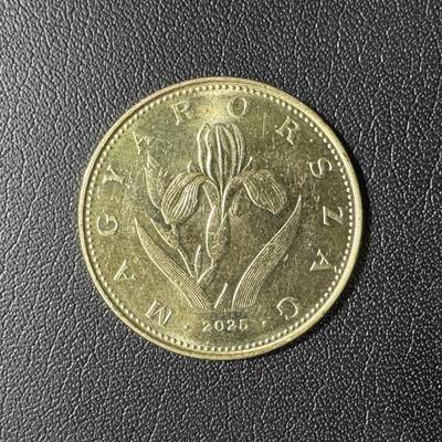 【铜匠收藏】★第136场★客户代拍 散币场，无寄存！！无佣金，30包邮。不满30元，支付5元运费。《接受代拍 代送NGC评级》 - 匈牙利2025年20福林铜币 