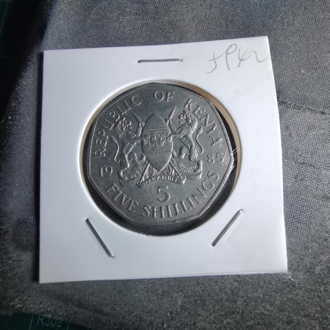 沼泽如烟--第959场 本期开始不支持出价小数点，感谢理解