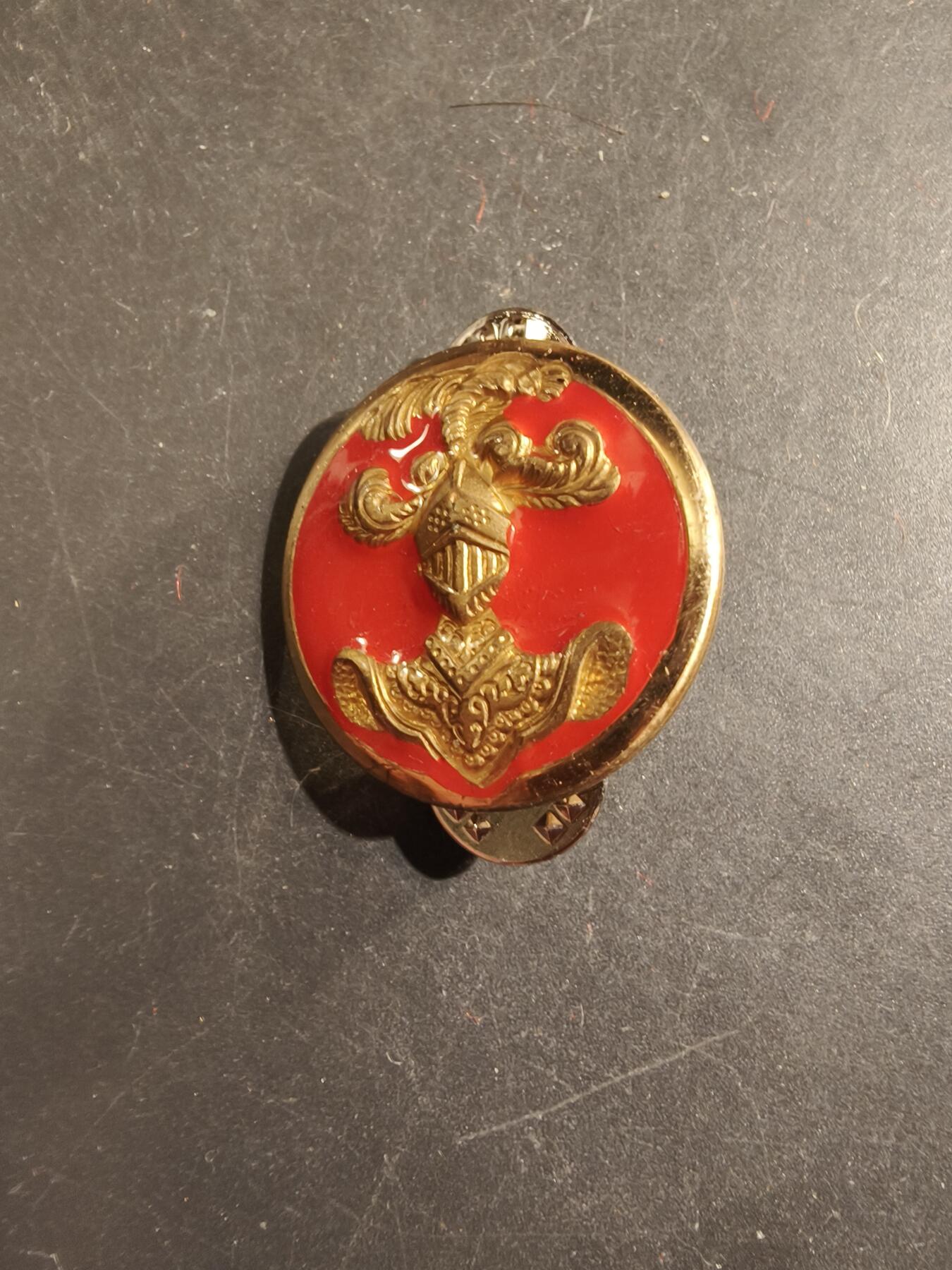 老王徽章第176期 法国装甲兵上校领章