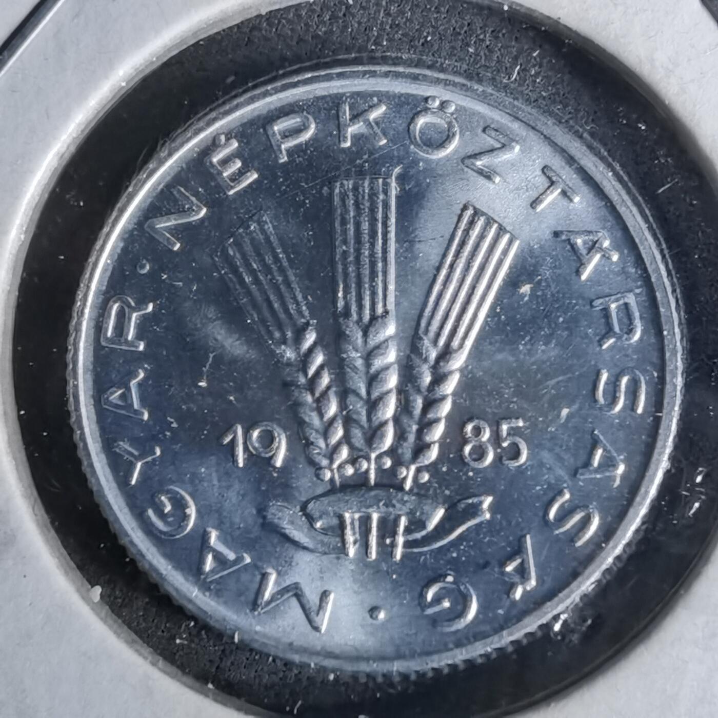 沼泽如烟--第958场