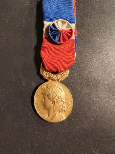 老王徽章第176期 - 法国金级劳动荣誉奖章