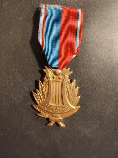 老王徽章第176期 - 法国金级音乐协会奖章