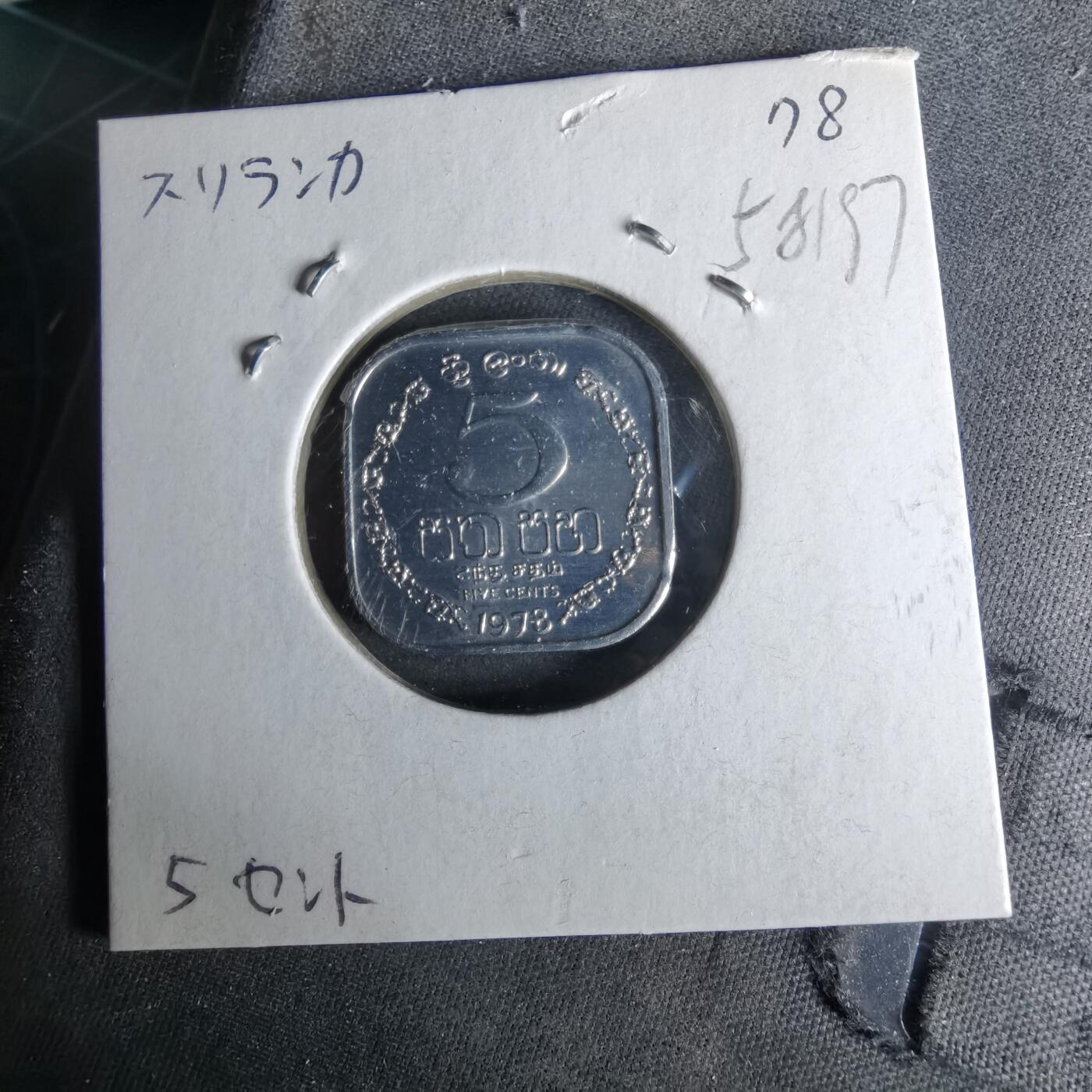 沼泽如烟--第958场