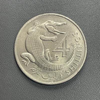 回流0119 - 极少 英属冈比亚1966年4英镑 非洲细吻鳄