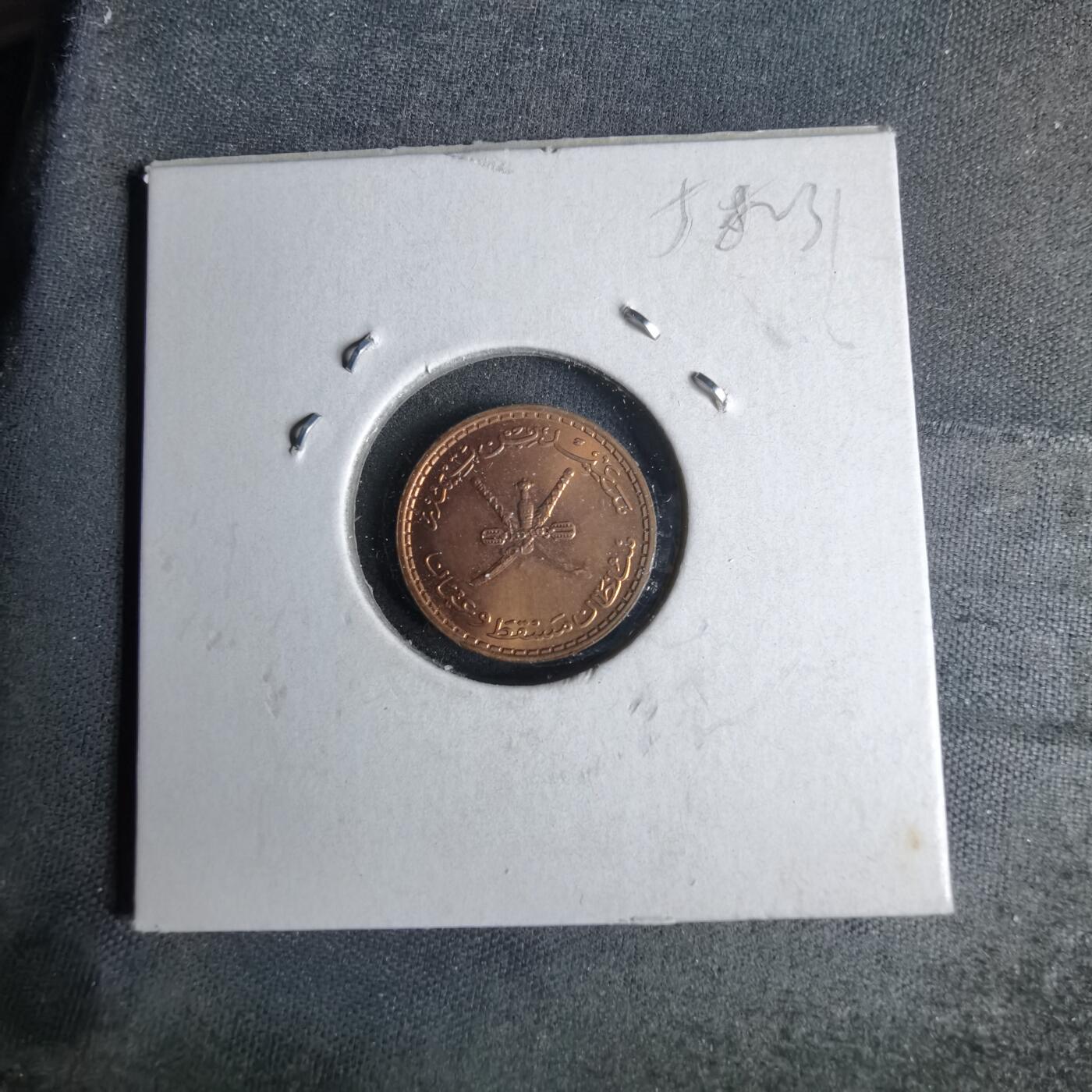 沼泽如烟--第958场