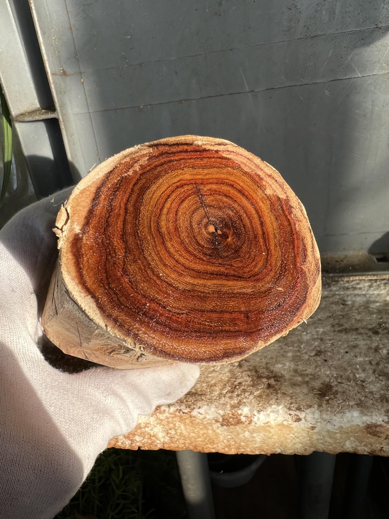 零元拍：  NO.110-3海南黄花梨原料。尺寸约110/55MM