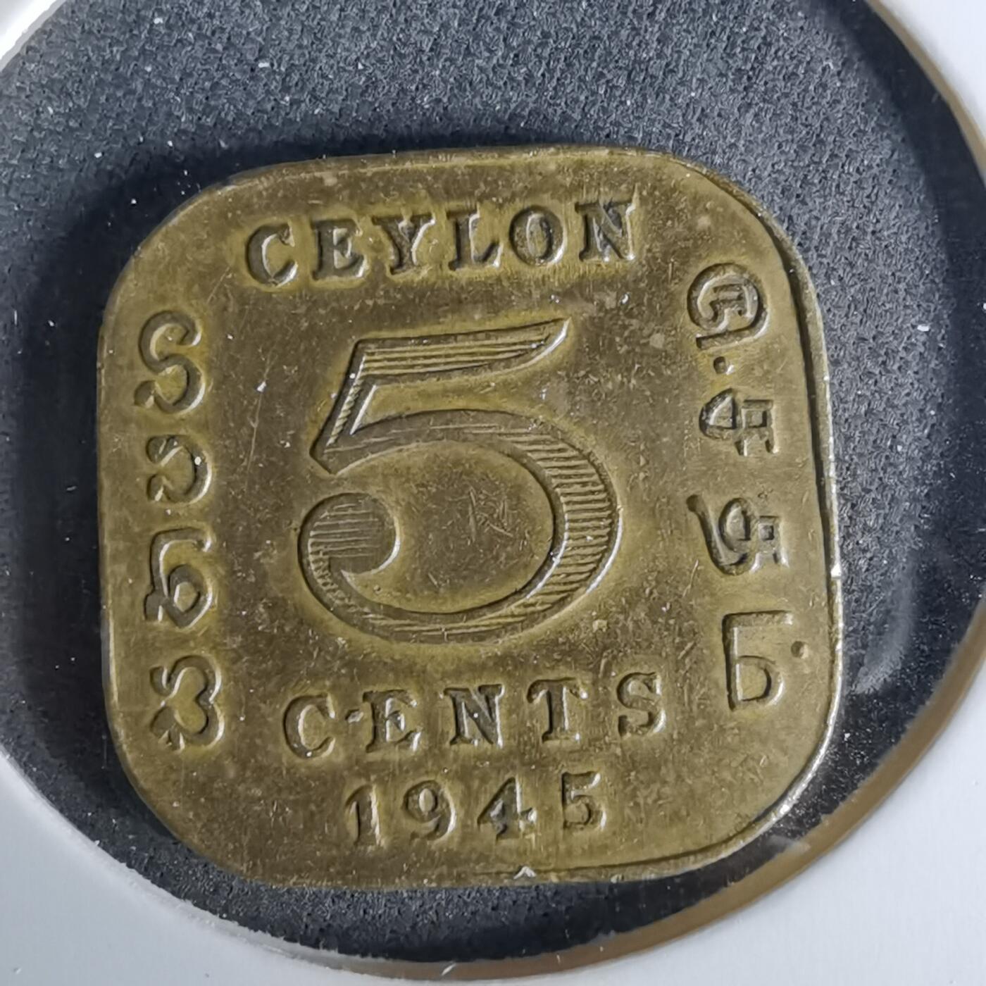 沼泽如烟--第958场