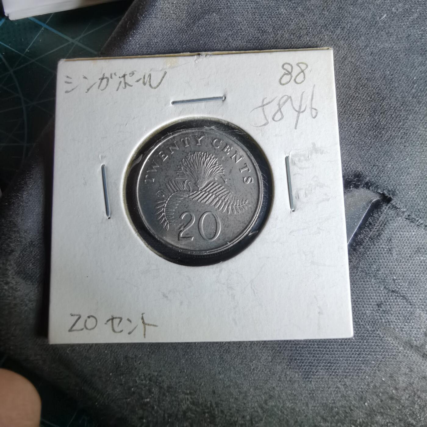 沼泽如烟--第958场