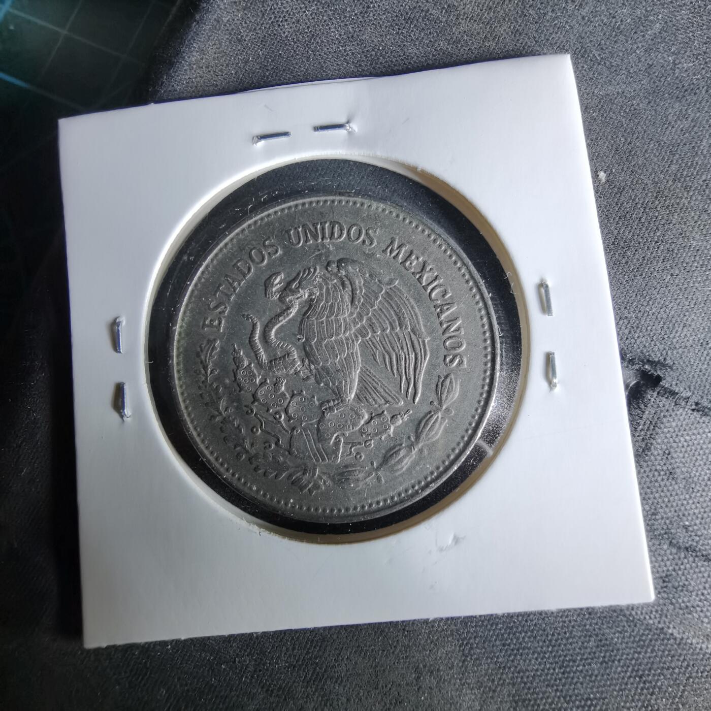 沼泽如烟--第958场