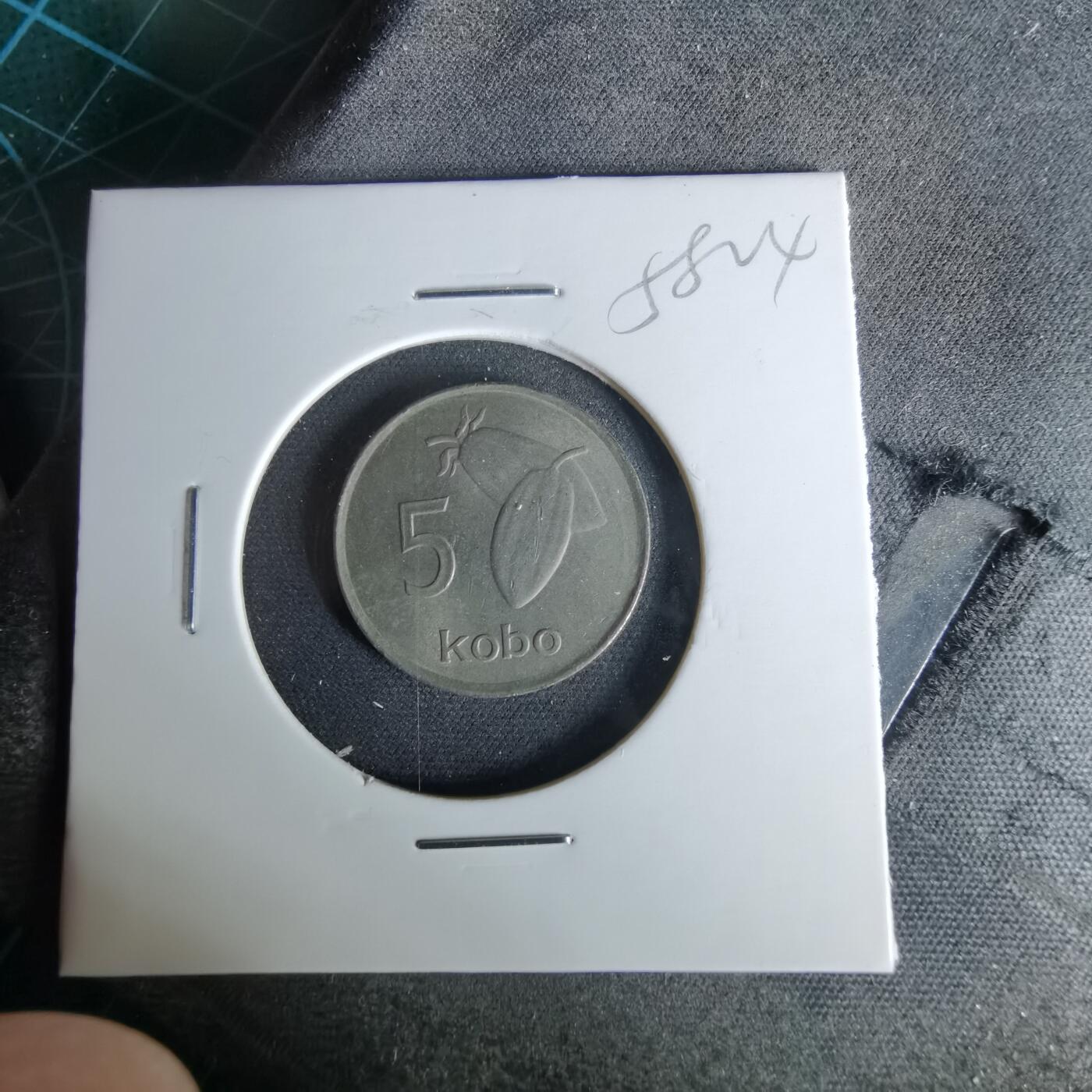 沼泽如烟--第958场