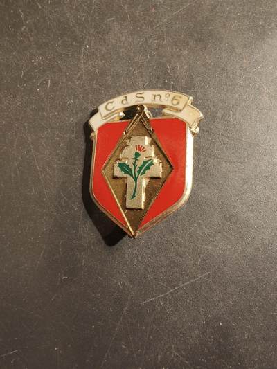 老王徽章第176期 - 法国陆军第6选拔中心证章