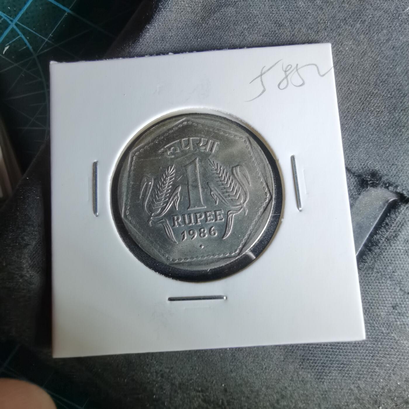 沼泽如烟--第958场