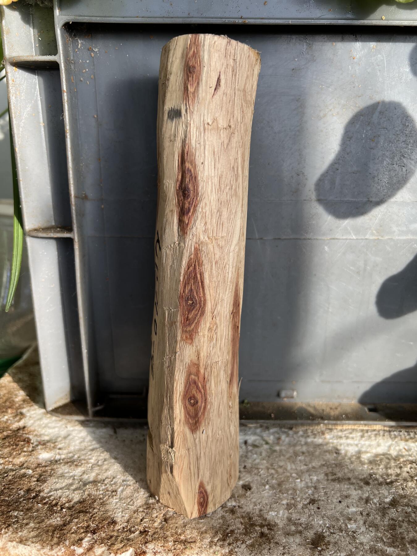 零元拍：  NO.110-4海南黄花梨原料。尺寸约195/45MM