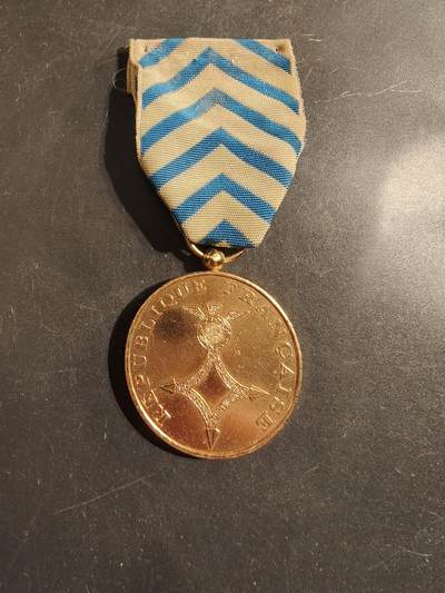 老王徽章第176期 - 法国北非战役奖章