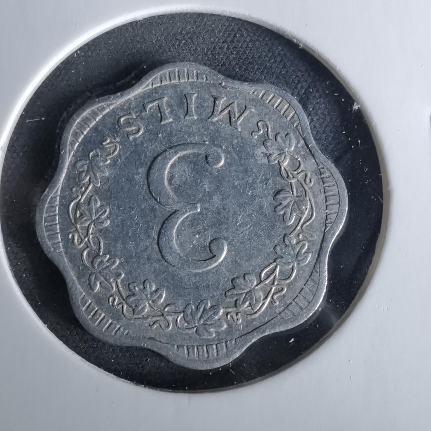 沼泽如烟--第958场