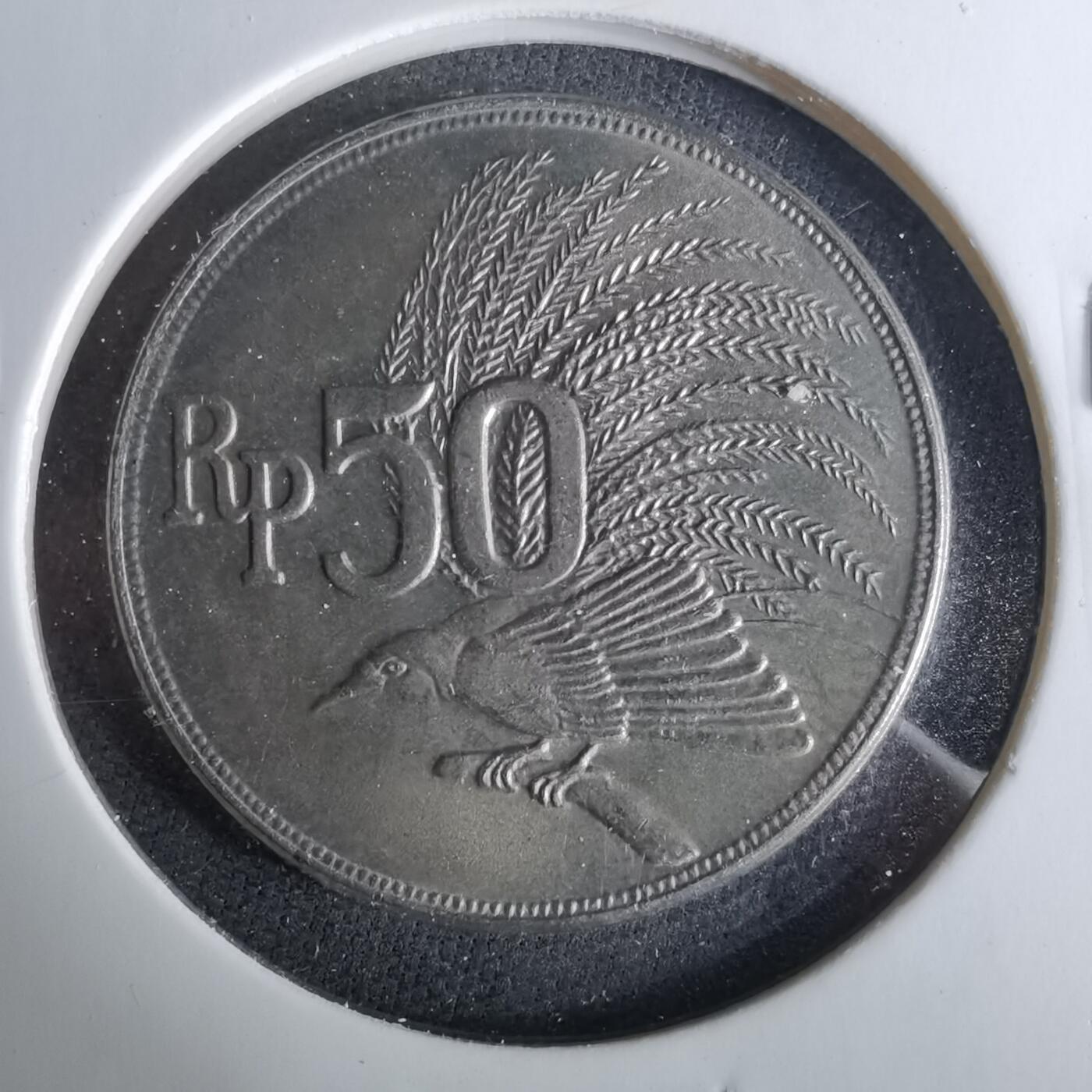 沼泽如烟--第958场