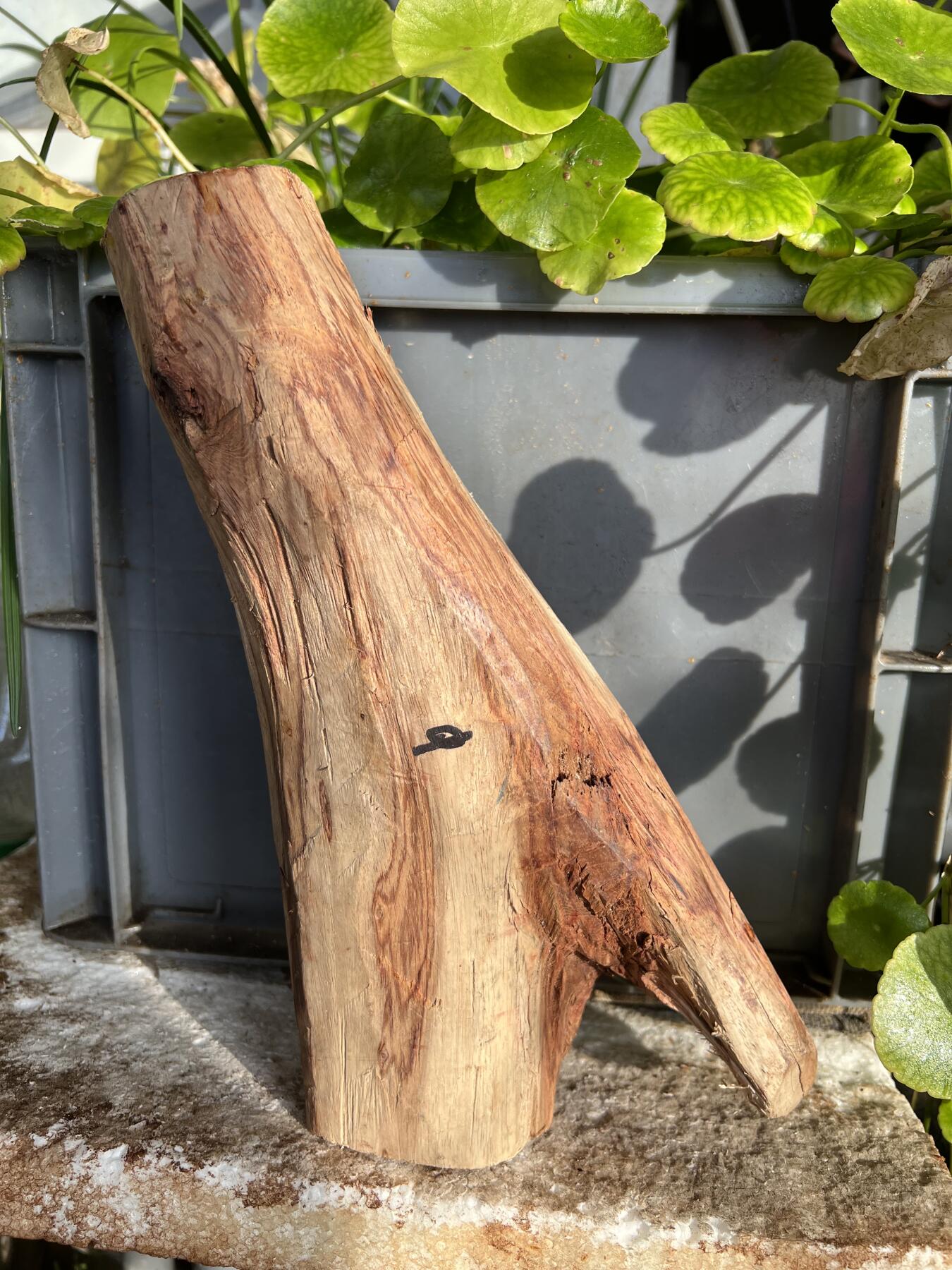 零元拍：  NO.35-1海南黄花梨原料。尺寸约250/50/60MM