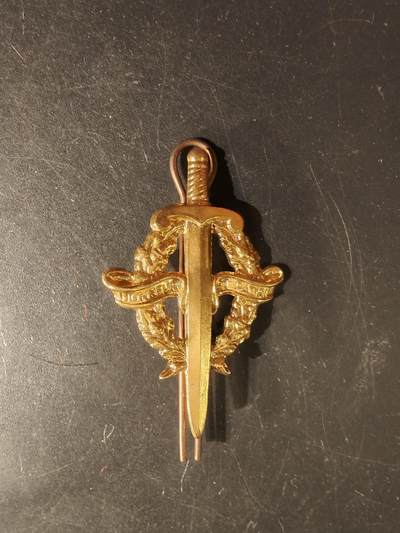 老王徽章第176期 - 法国金级基础军事技能证章