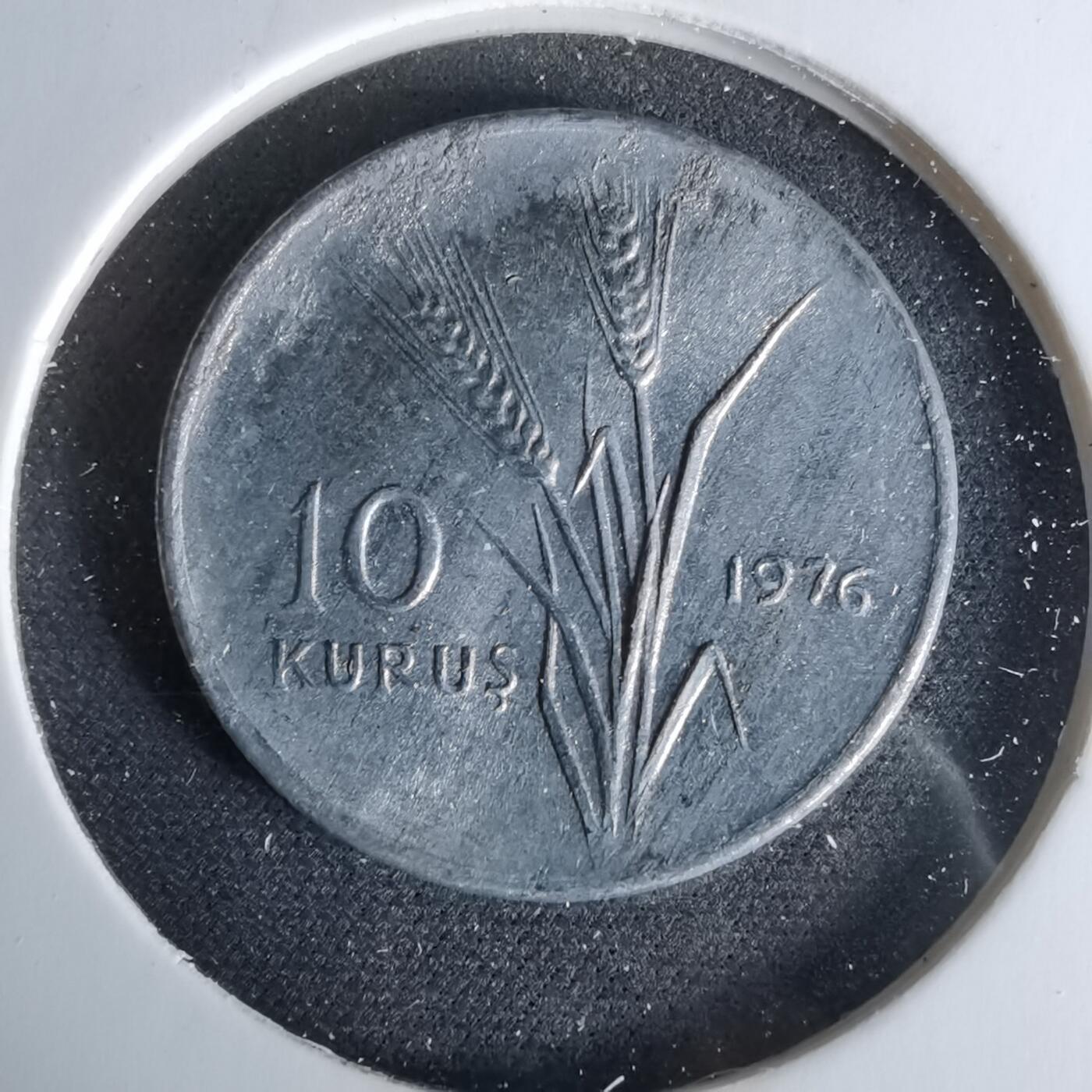 沼泽如烟--第958场