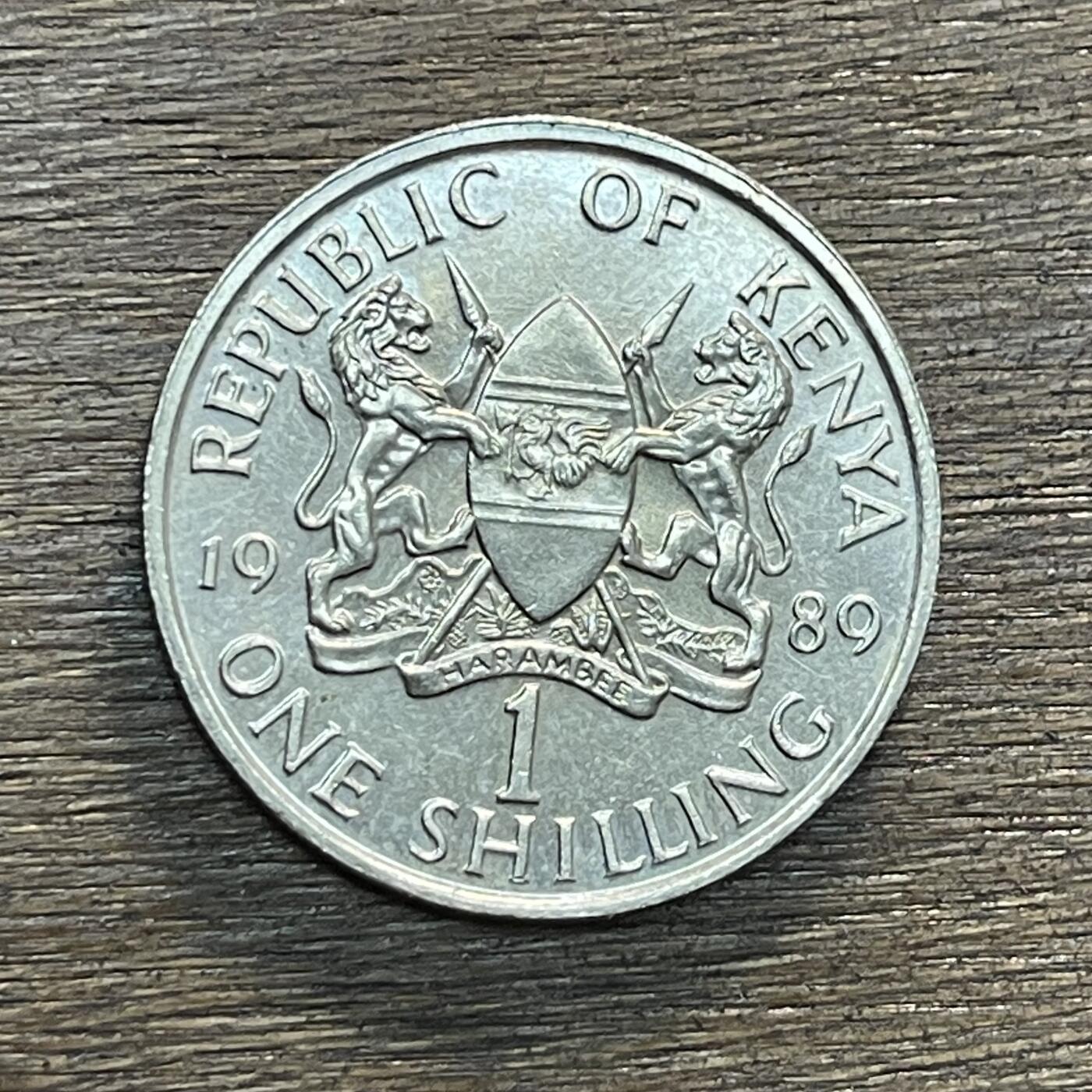 【铜匠收藏】★第138场★散币场。不寄存，30包邮。不满30元，支付5元运费。《接受代拍 代送NGC评级》 32【无寄存】肯尼亚1989年10分铜币硬币31mm