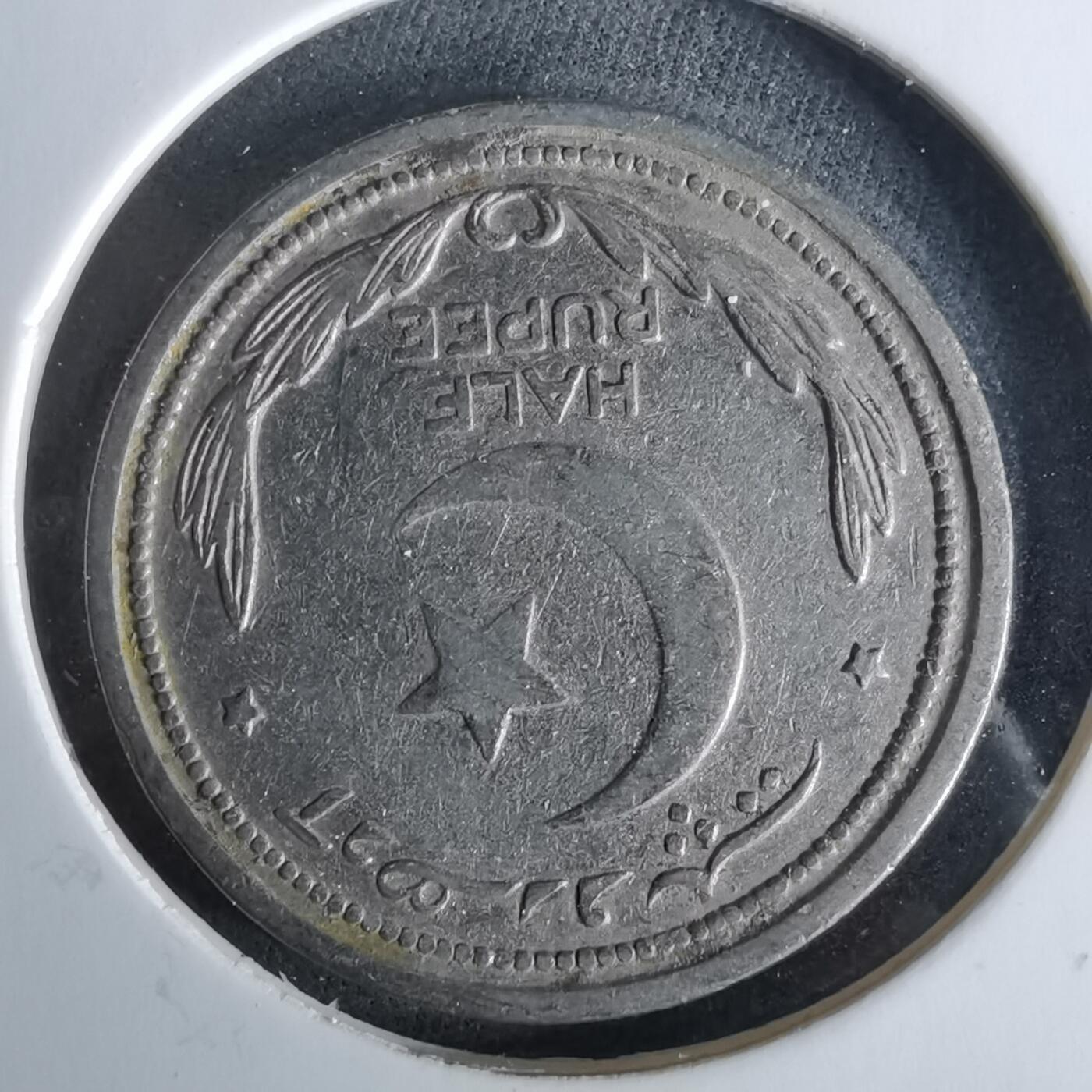 沼泽如烟--第958场