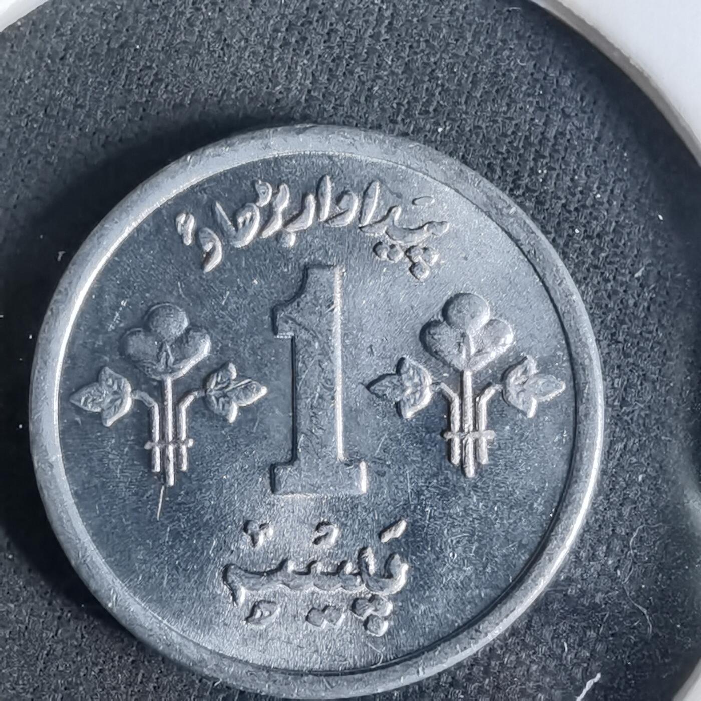 沼泽如烟--第958场