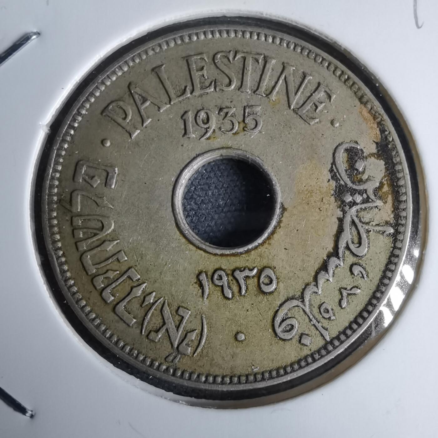 沼泽如烟--第959场 本期开始不支持出价小数点，感谢理解