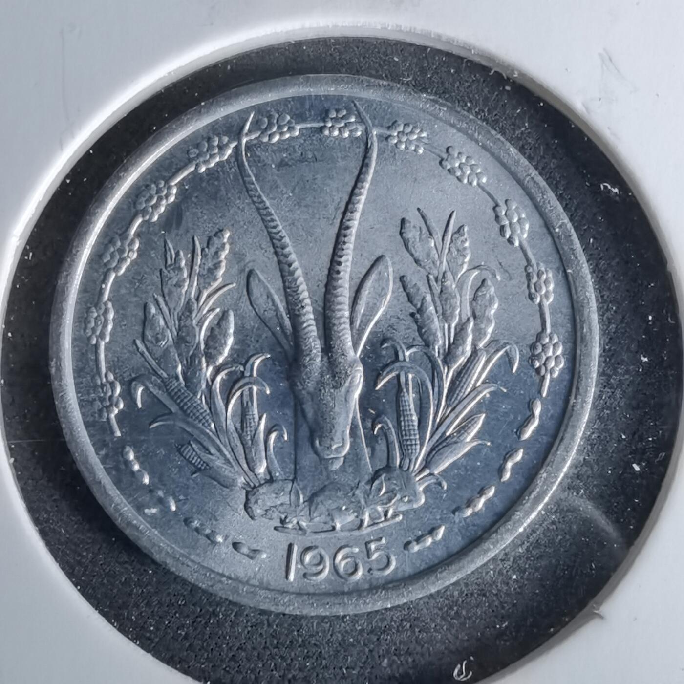 沼泽如烟--第958场