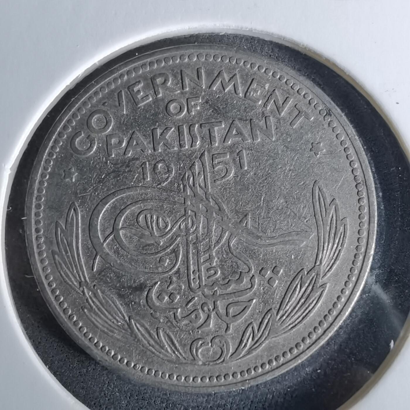 沼泽如烟--第958场